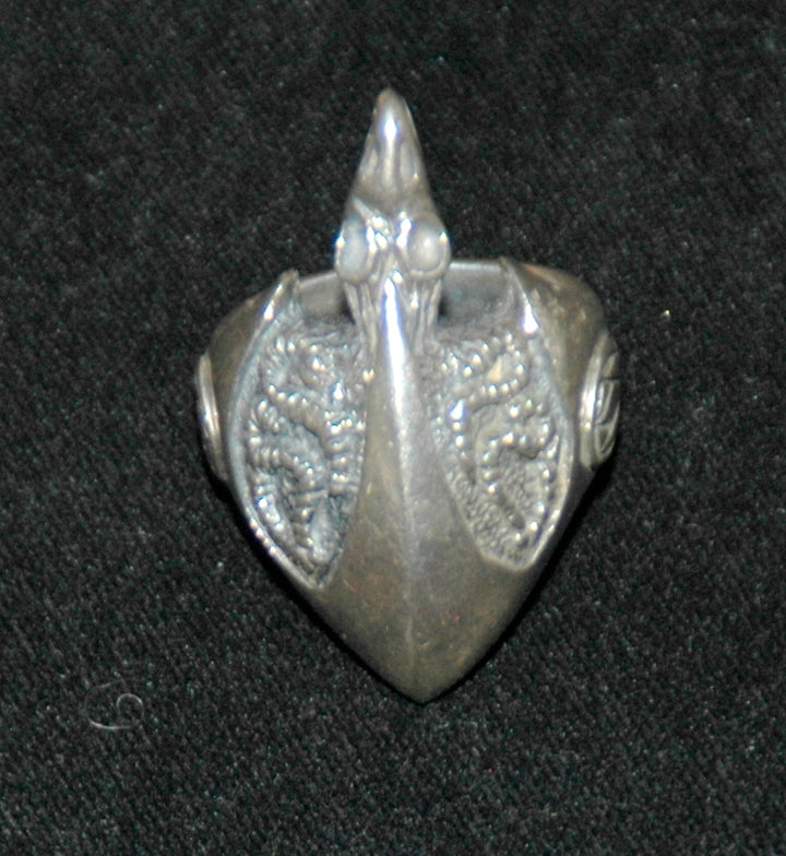 Zilveren ringen