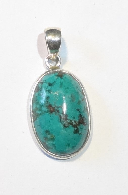 Mooi getekende hanger met turkoois. Gevat in zilver